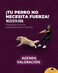 CONSULTA DE ADIESTRMIENTO