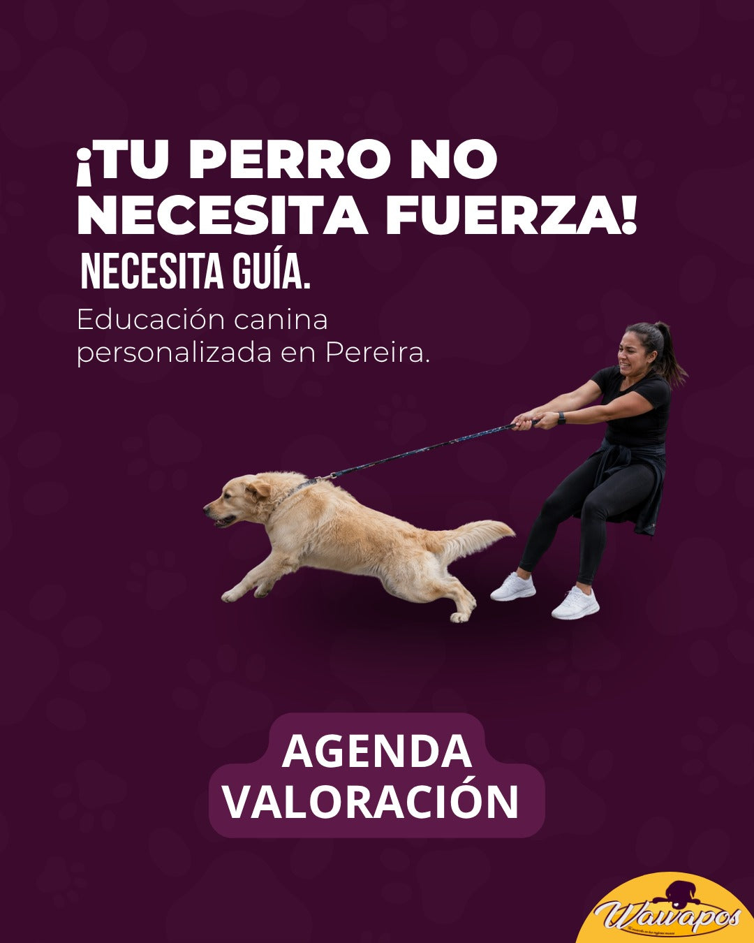 CONSULTA DE ADIESTRMIENTO